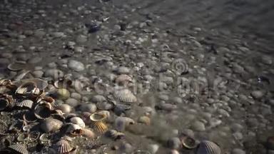 海浪覆盖着沙滩上的<strong>贝壳</strong>，海浪溅在<strong>贝壳</strong>上。 海浪的美丽的浮雕<strong>贝壳</strong>